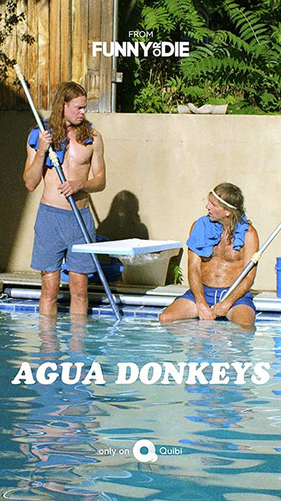 Agua Donkeys : Poster