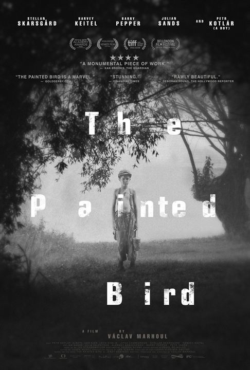 O Pássaro Pintado : Poster