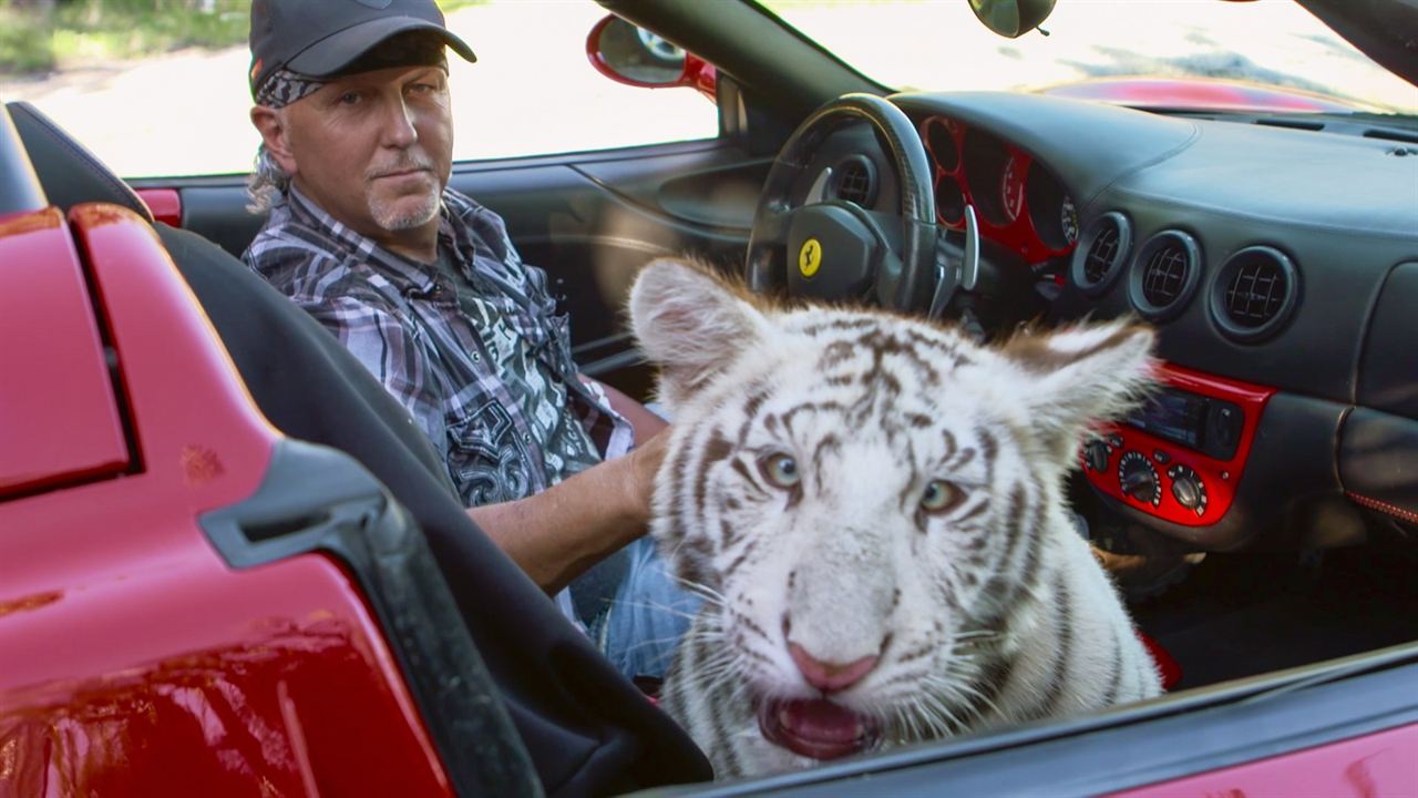 A Máfia dos Tigres : Fotos