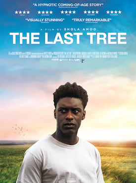 The Last Tree : Poster