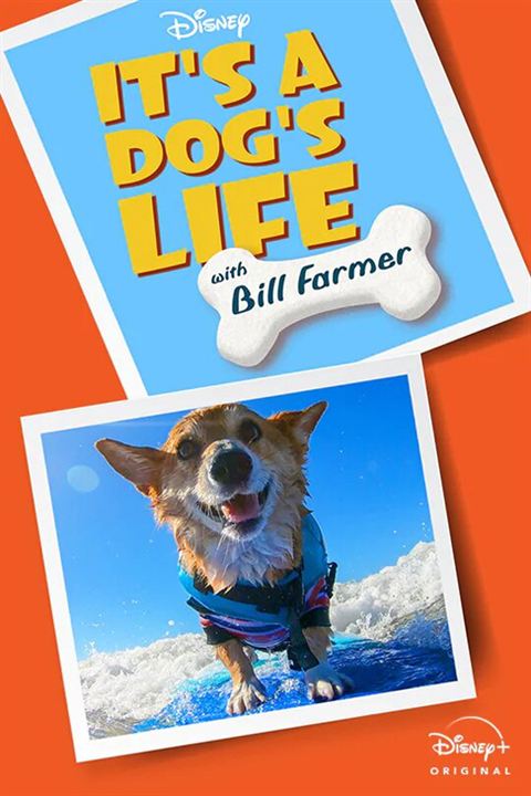 Super Cães - Apresentado por Bill Farmer : Poster