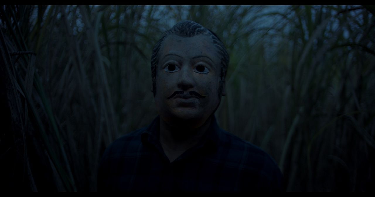O Segredo da Floresta : Fotos