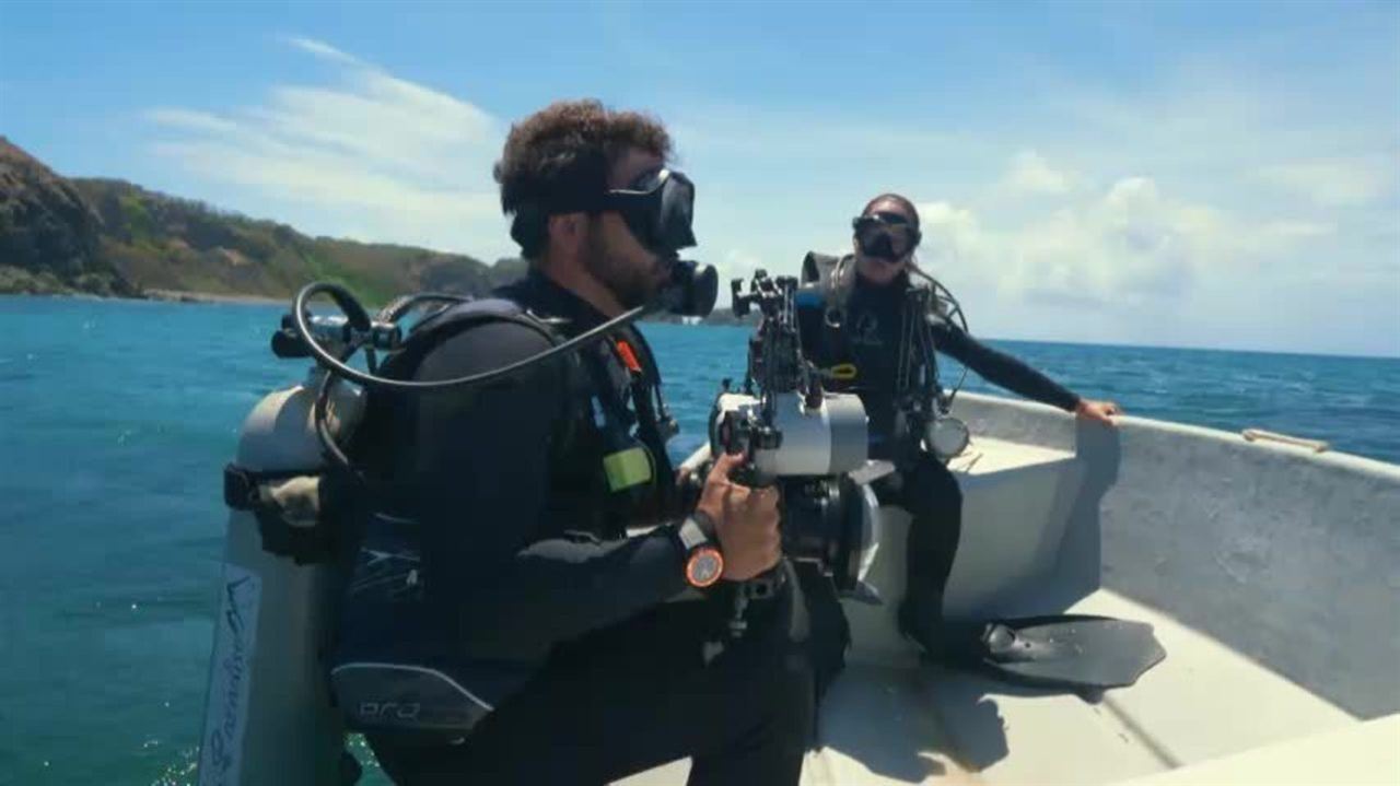 Olhar Submerso - Naufrágios de Pernambuco : Fotos