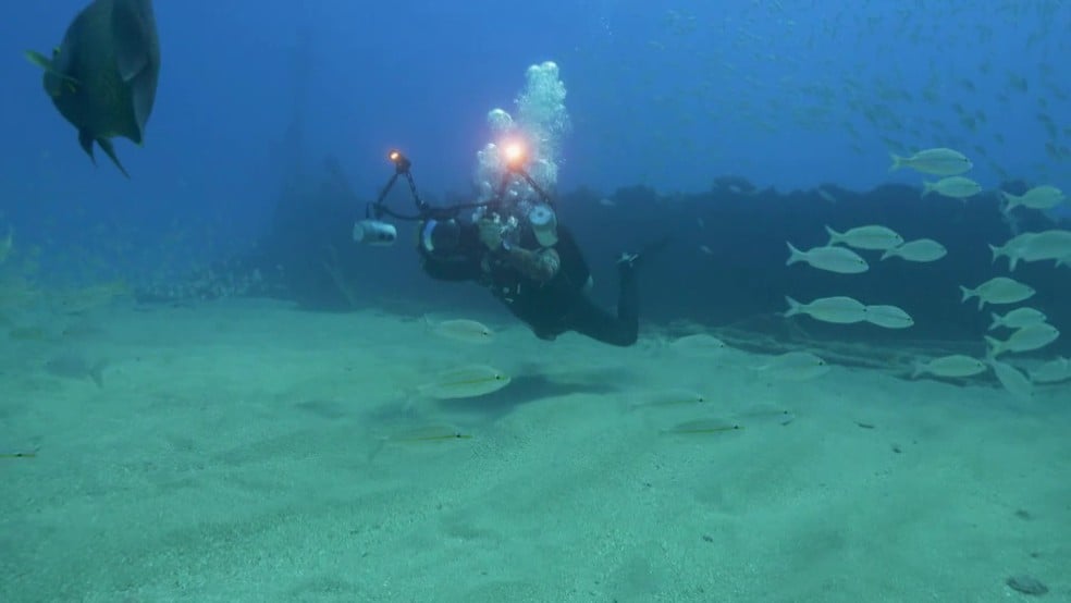 Olhar Submerso - Naufrágios de Pernambuco : Fotos