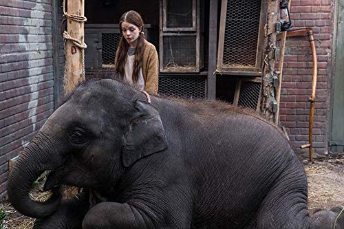 Zoo: Uma Amizade Maior que a Vida : Fotos