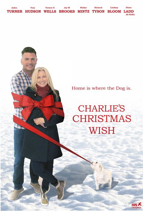 O Desejo de Charlie! : Poster