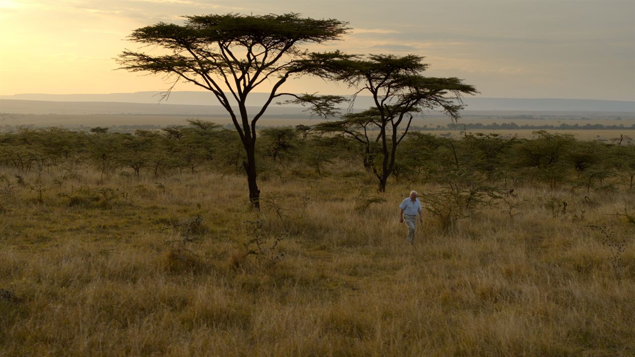 David Attenborough e Nosso Planeta : Fotos