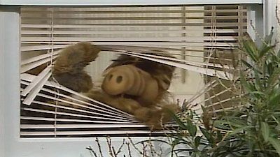 ALF : Poster