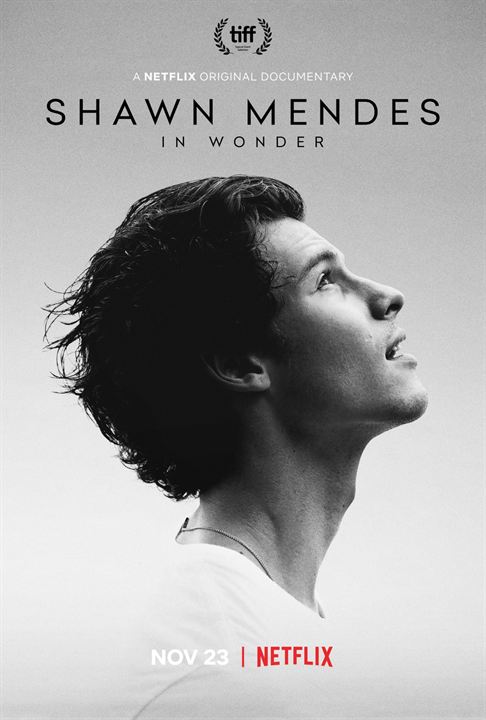Shawn Mendes: In Wonder : Poster