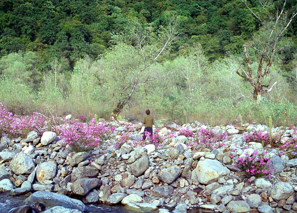 Dasatskisi : Fotos