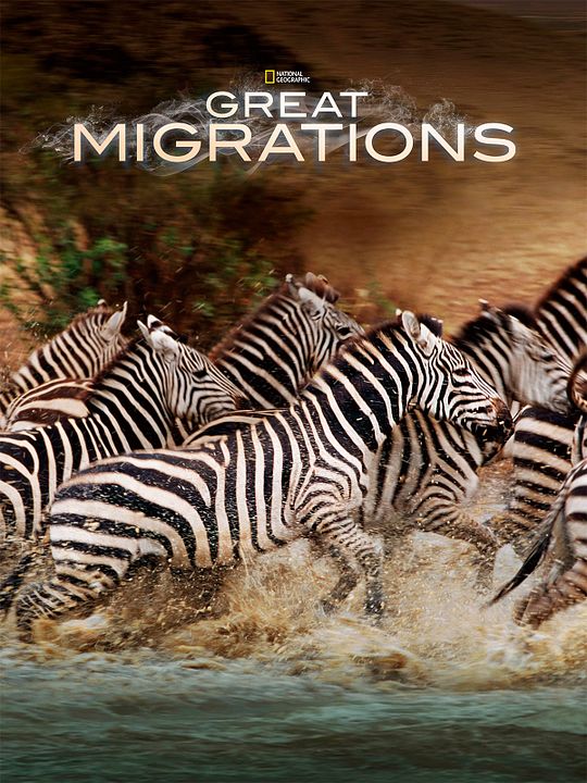 Grandes Migrações : Poster