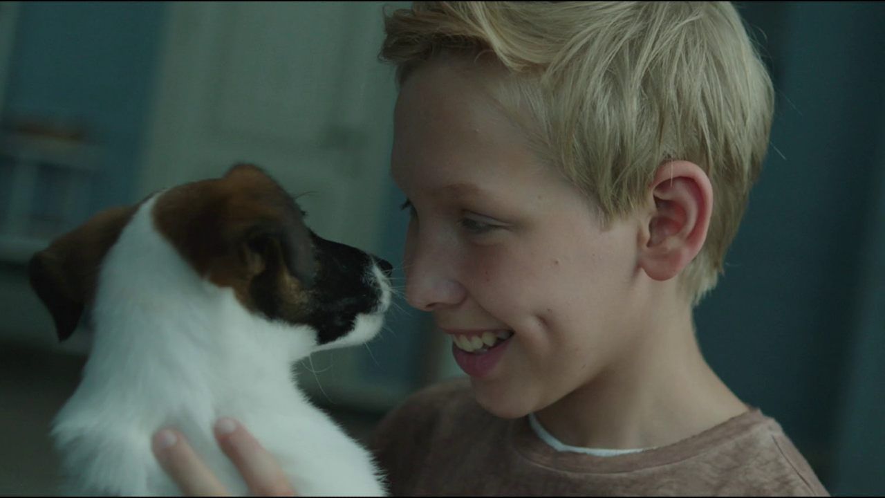 Foxter & Max- Um Cachorro de Outro Mundo : Fotos