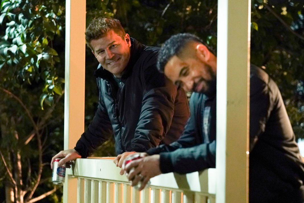 Fotos David Boreanaz