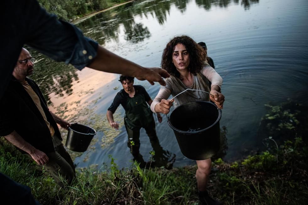 The Collapse : Fotos