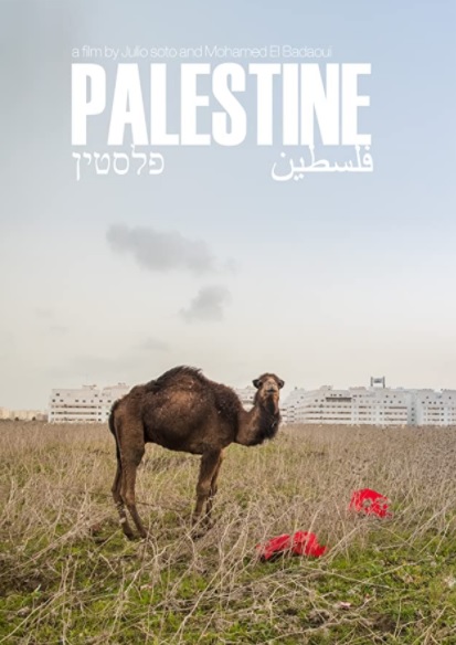 Palestina: Uma Terra em Conflito : Poster