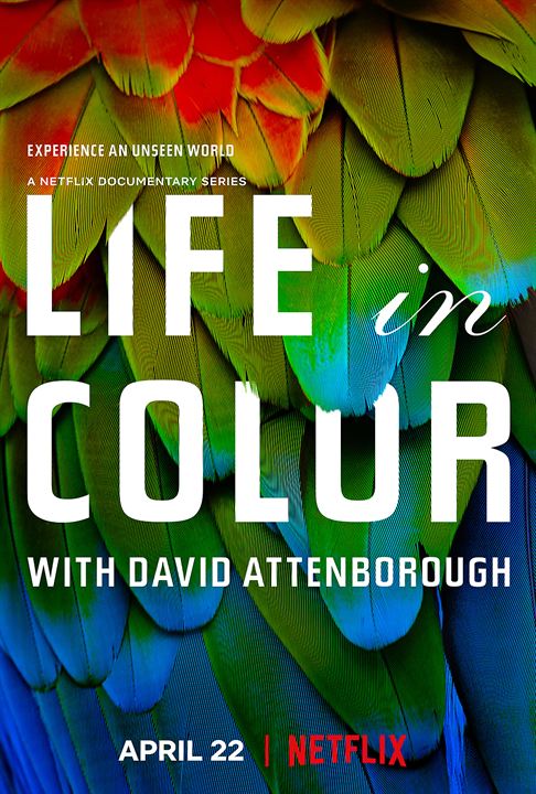 A Vida em Cores com David Attenborough : Poster