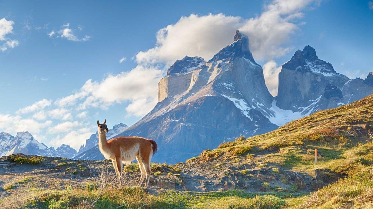 A Magia dos Andes : Fotos