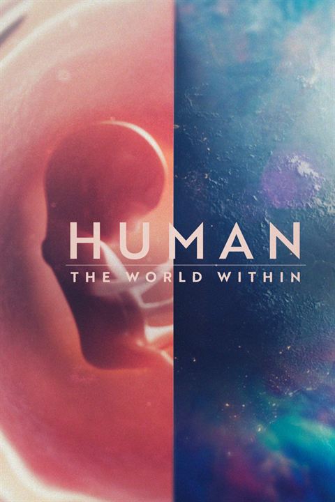 Corpo Humano: Nosso Mundo Interior : Poster