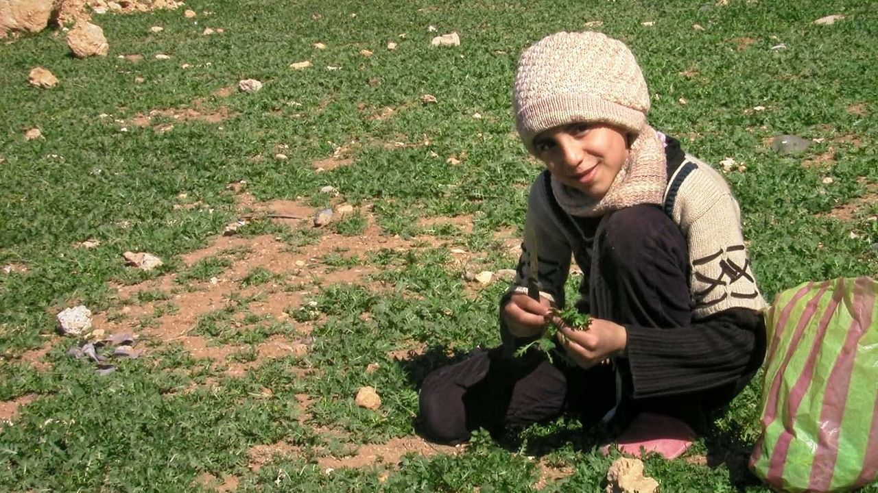 Pequena Palestina, Diário de um Cerco : Fotos