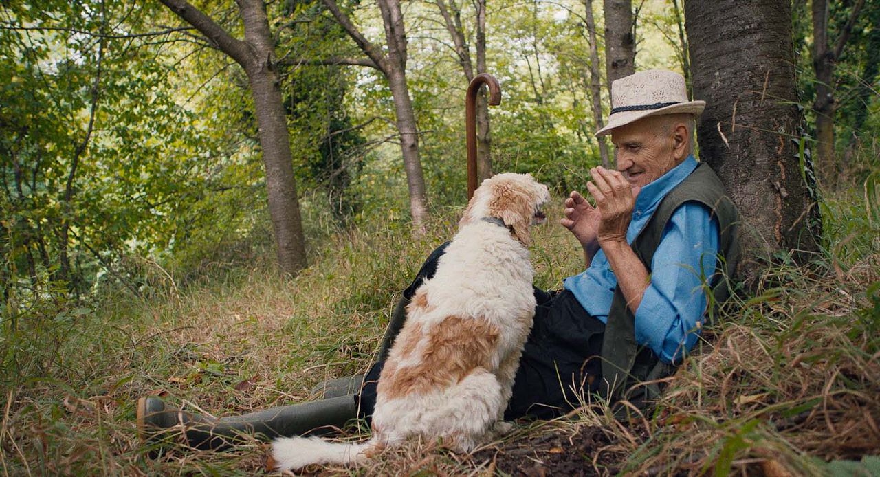 The Truffle Hunters : Fotos