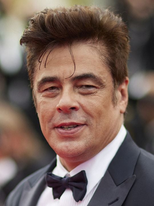 Poster Benicio Del Toro