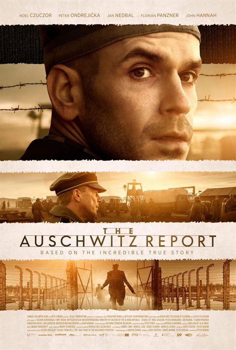 O Protocolo de Auschwitz : Poster