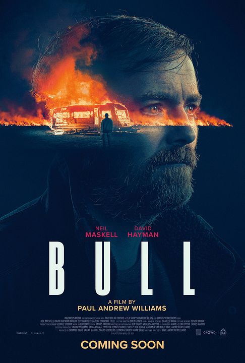 Bull : Poster