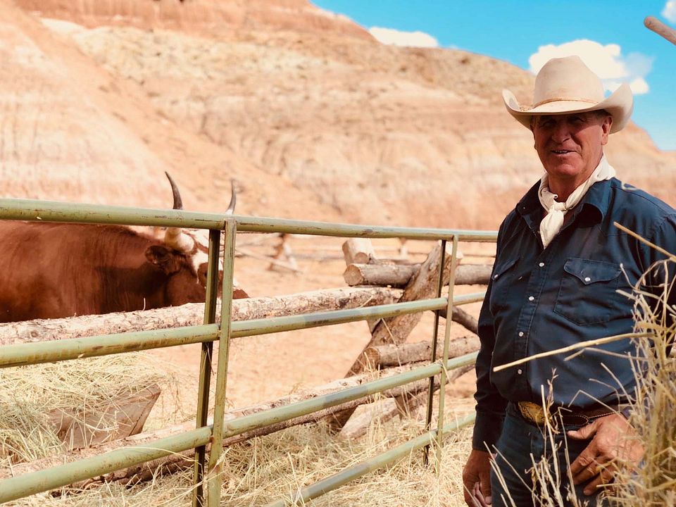 Meus Heróis Eram Cowboys : Fotos
