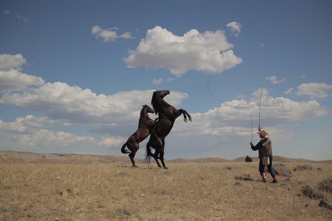 Meus Heróis Eram Cowboys : Fotos