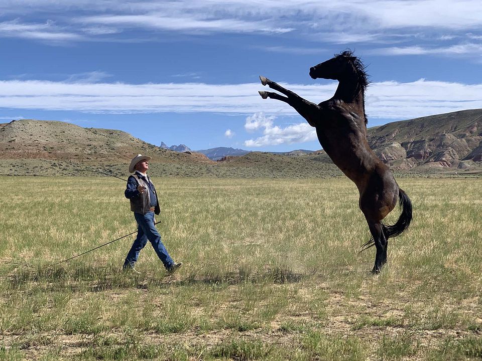Meus Heróis Eram Cowboys : Fotos