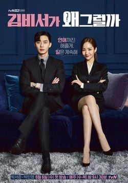What's Wrong with Secretary Kim : Poster