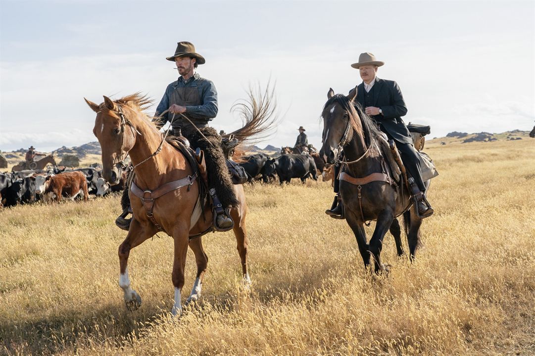 Ataque dos Cães : Fotos Benedict Cumberbatch, Jesse Plemons