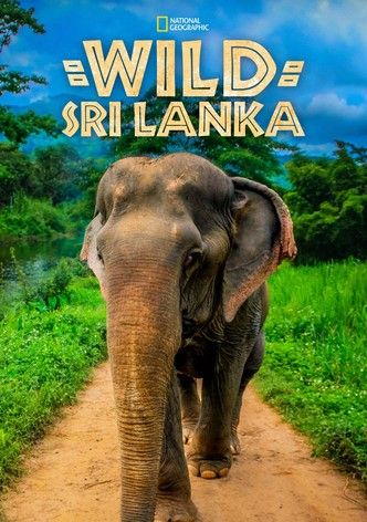Sri Lanka Selvagem : Poster