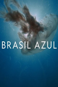 Brasil Azul : Poster