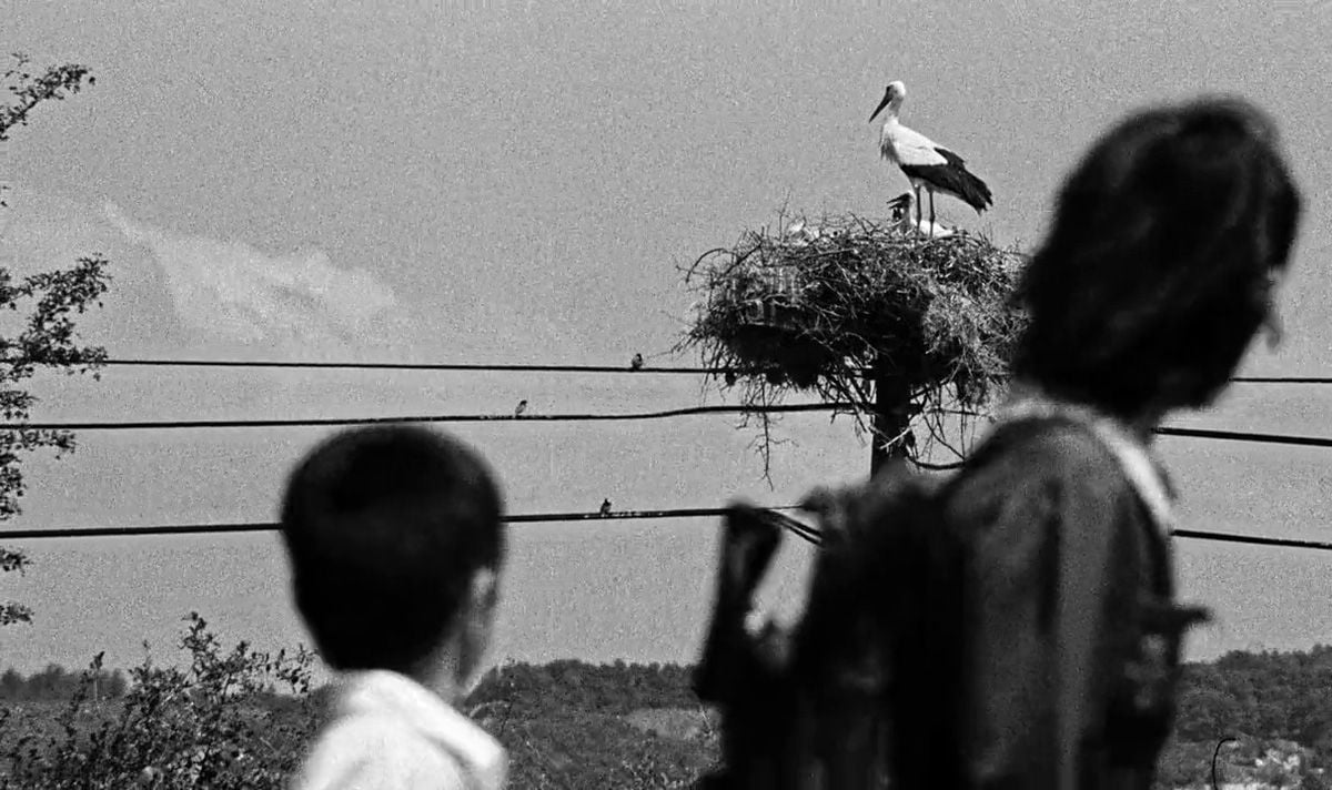 A Pequena Cidade : Fotos