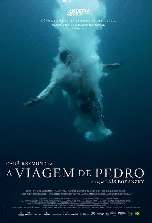 A Viagem de Pedro : Poster