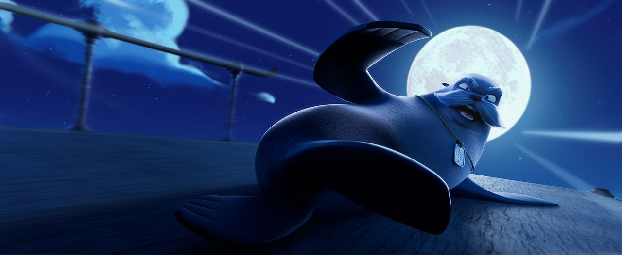 Companhia das Focas : Fotos