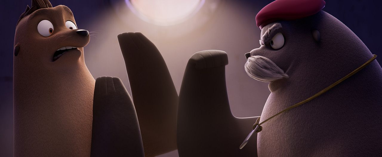 Companhia das Focas : Fotos