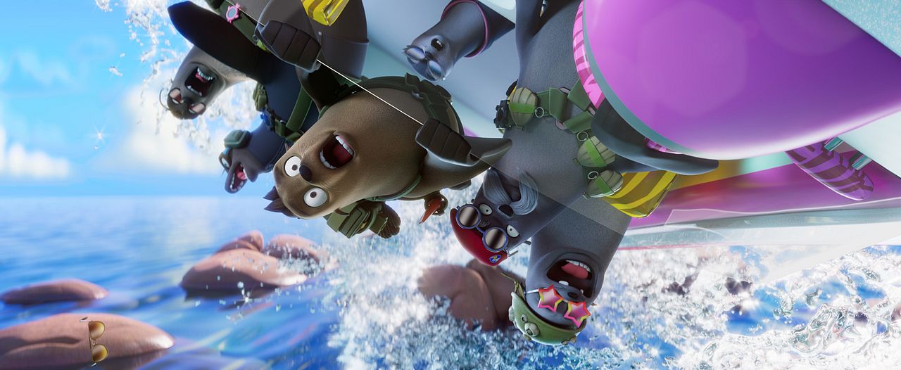 Companhia das Focas : Fotos