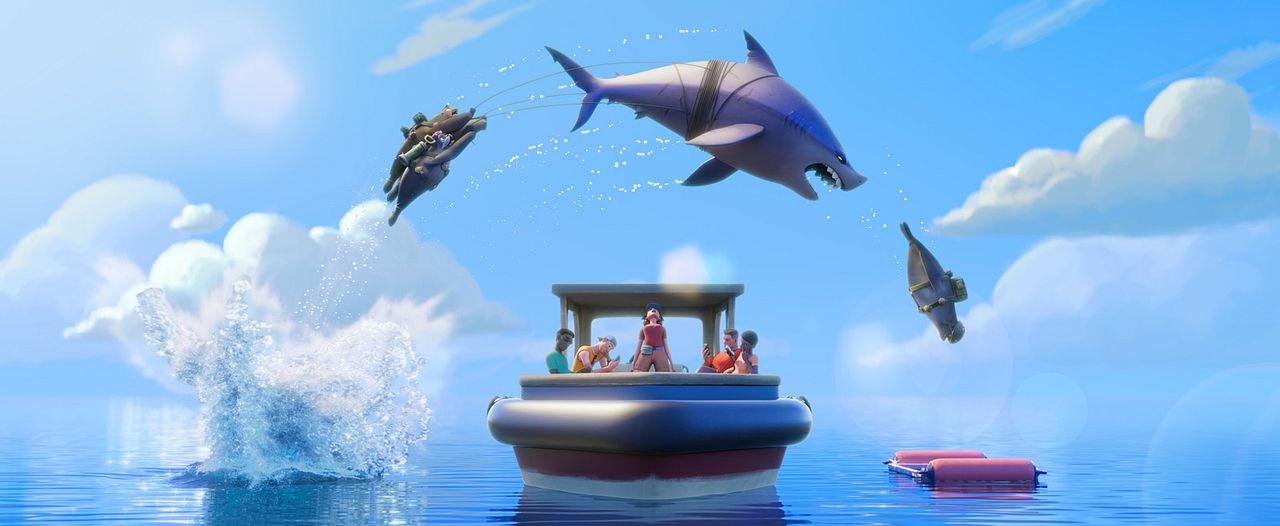 Companhia das Focas : Fotos