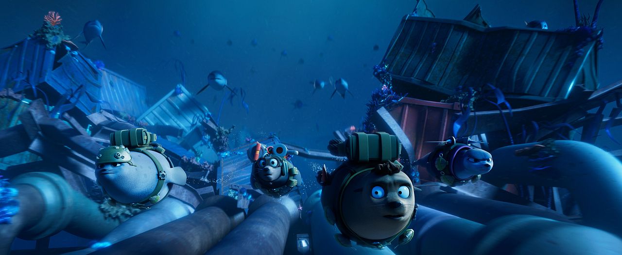 Companhia das Focas : Fotos