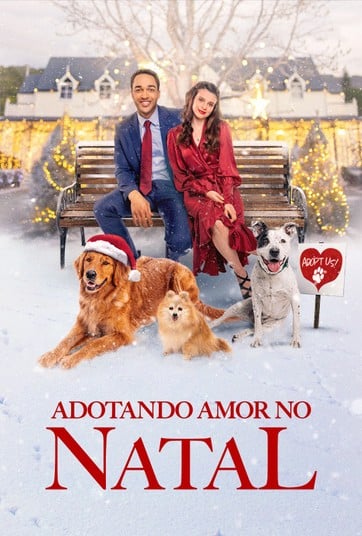 Adotando Amor no Natal : Poster