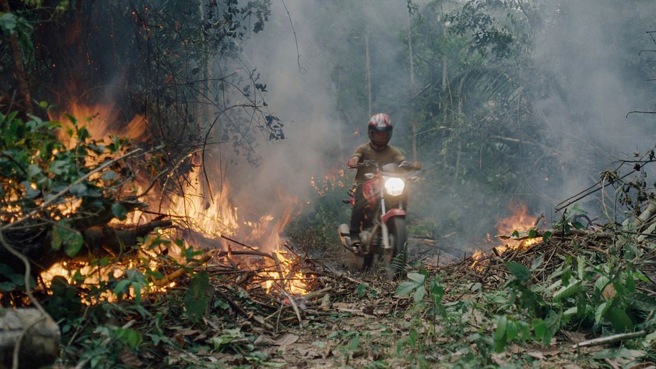 O Território : Fotos