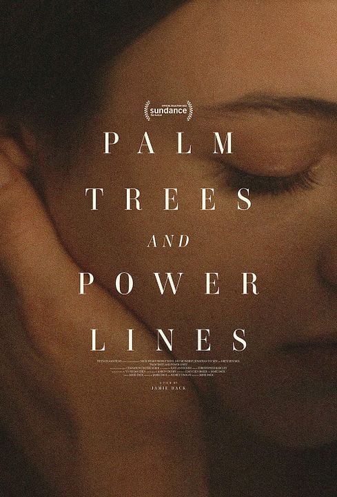 Palm Trees and Power Lines : Poster