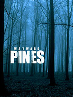 Wayward Pines : Poster