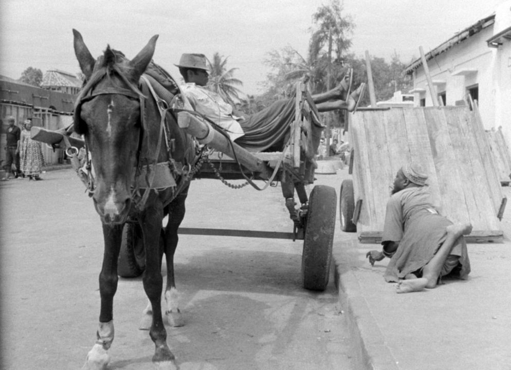 O Carroceiro : Fotos