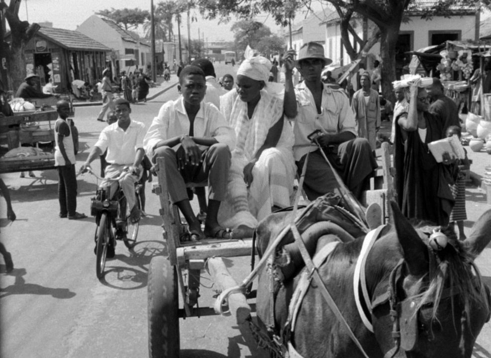 O Carroceiro : Fotos
