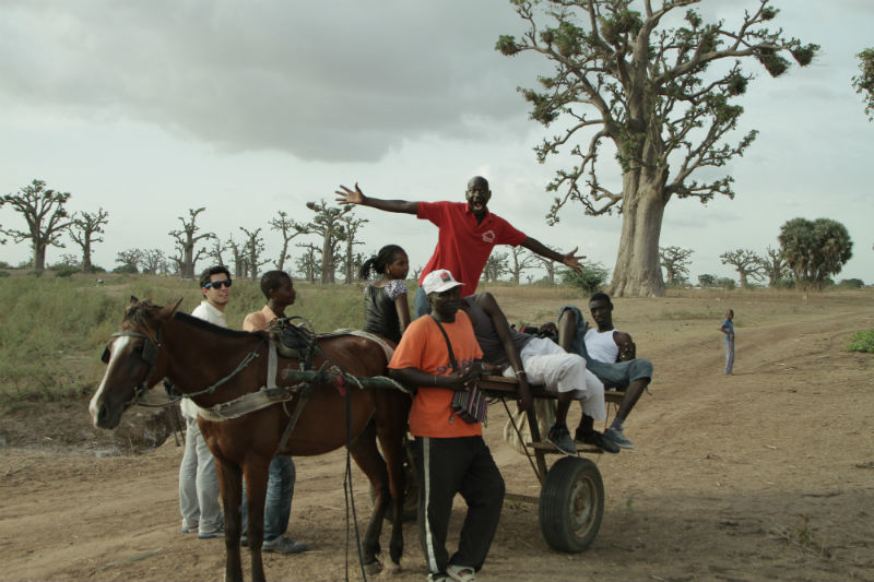 Grand comme le Baobab : Fotos