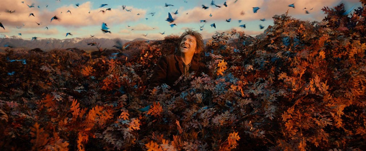 O Hobbit: A Desolação de Smaug : Fotos Martin Freeman