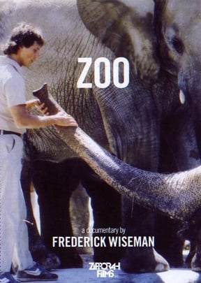 Zoo : Poster